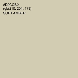 #D2CCB2 - Soft Amber Color Image